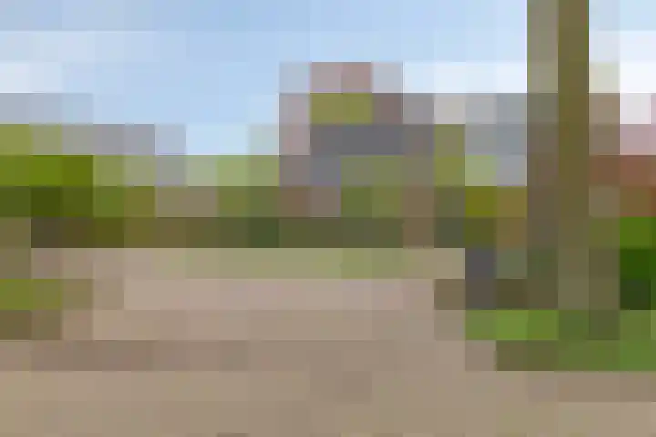Esweg 4 Dwingeloo thumbnail 35