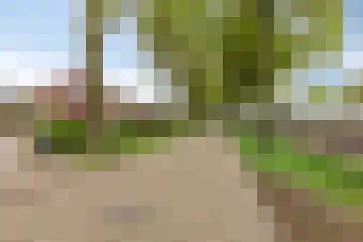 Esweg 4 Dwingeloo thumbnail 37