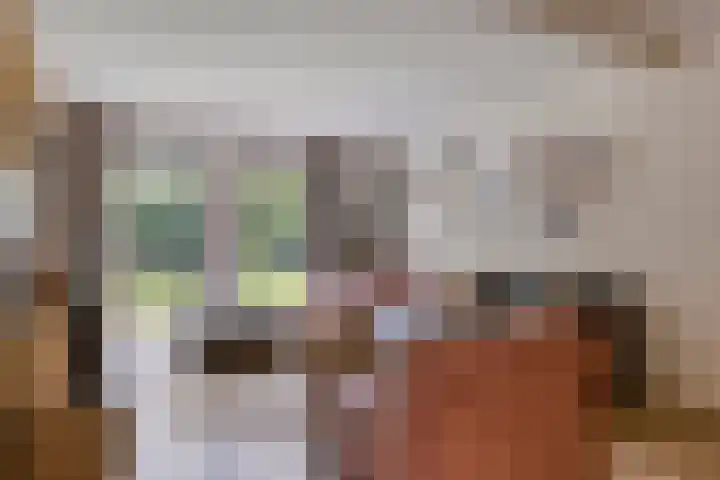 Esweg 4 Dwingeloo thumbnail 5