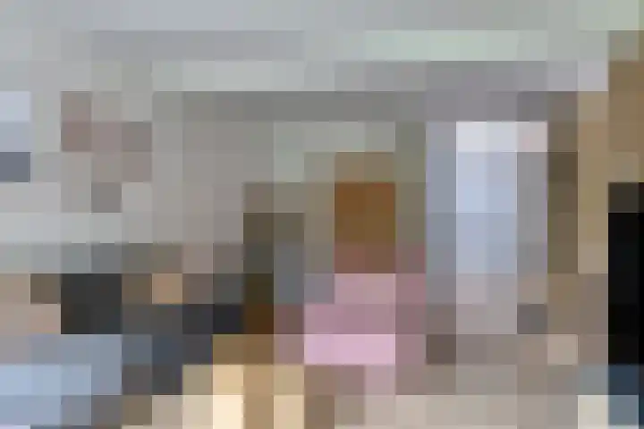 Esweg 4 Dwingeloo thumbnail 6
