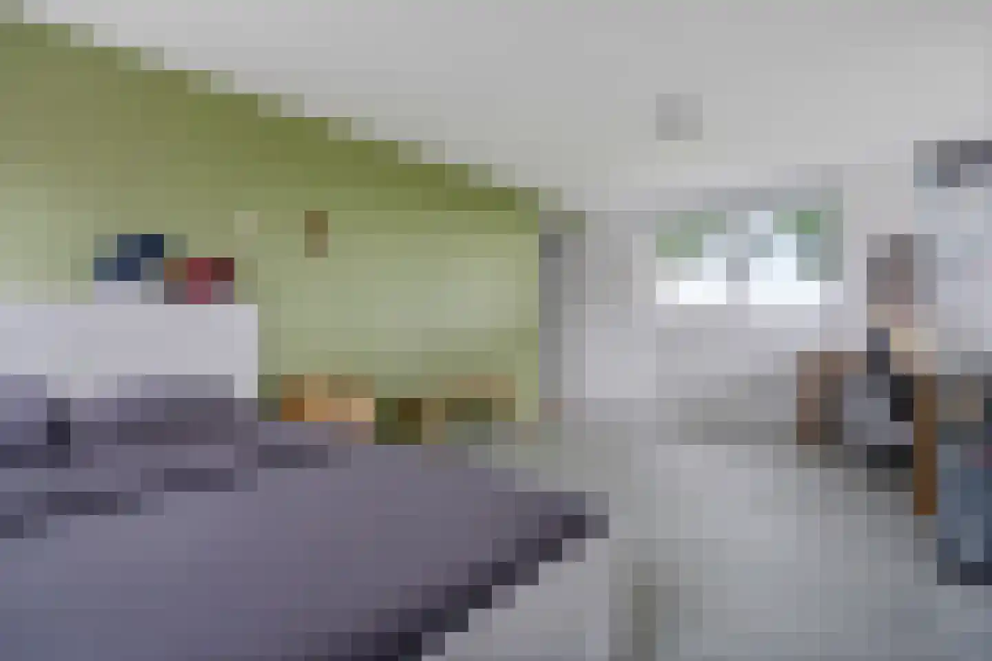 Esweg 9 Dwingeloo thumbnail 17