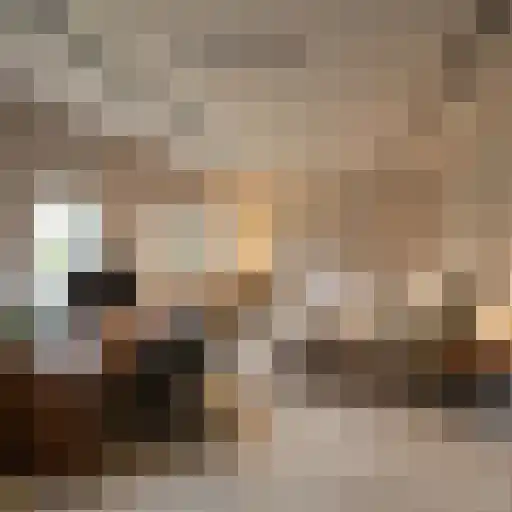 Esweg 9 Dwingeloo thumbnail 27
