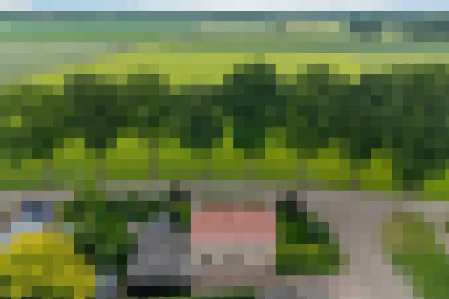Esweg 9 Dwingeloo thumbnail 29