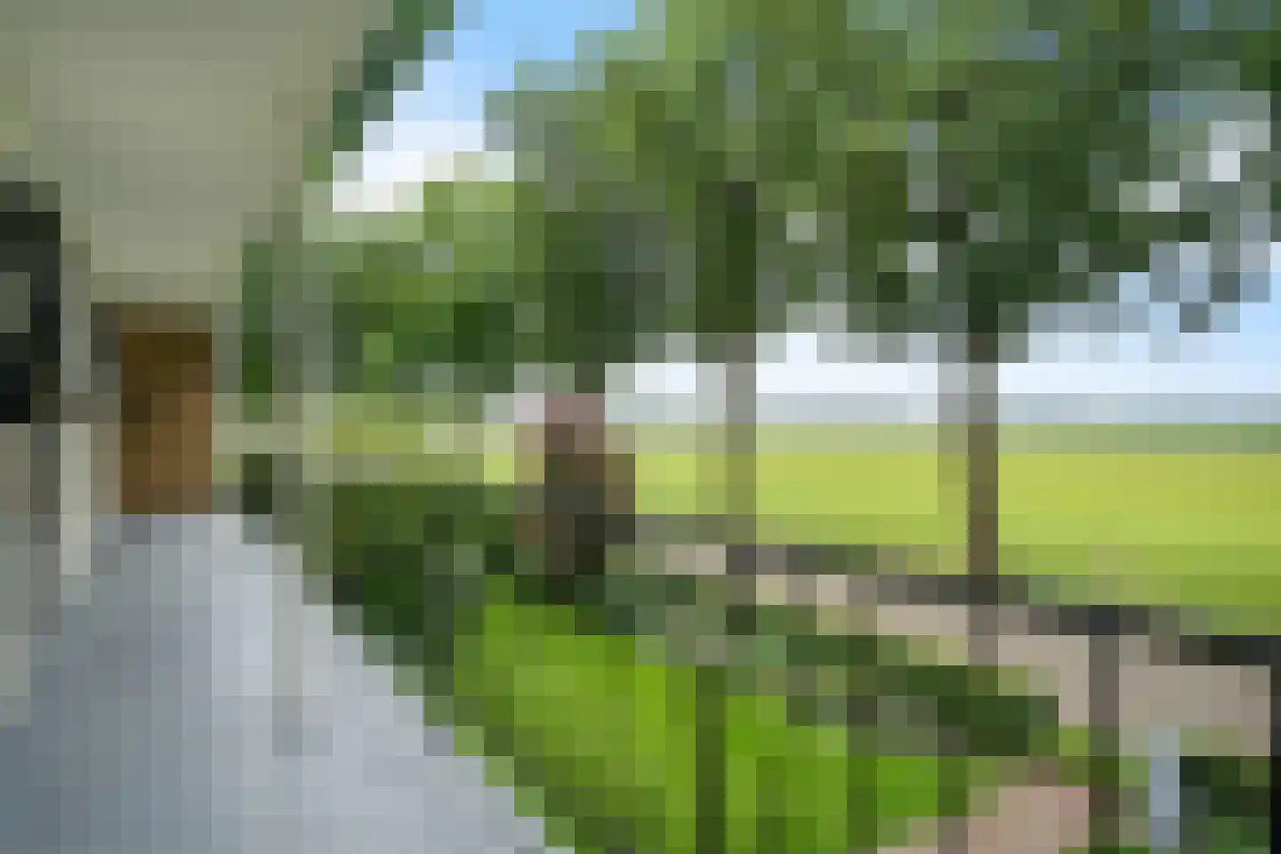 Esweg 9 Dwingeloo thumbnail 30