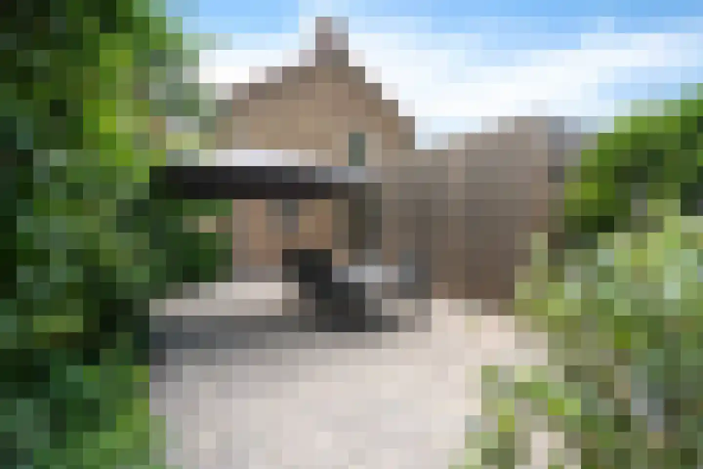 Esweg 9 Dwingeloo thumbnail 32