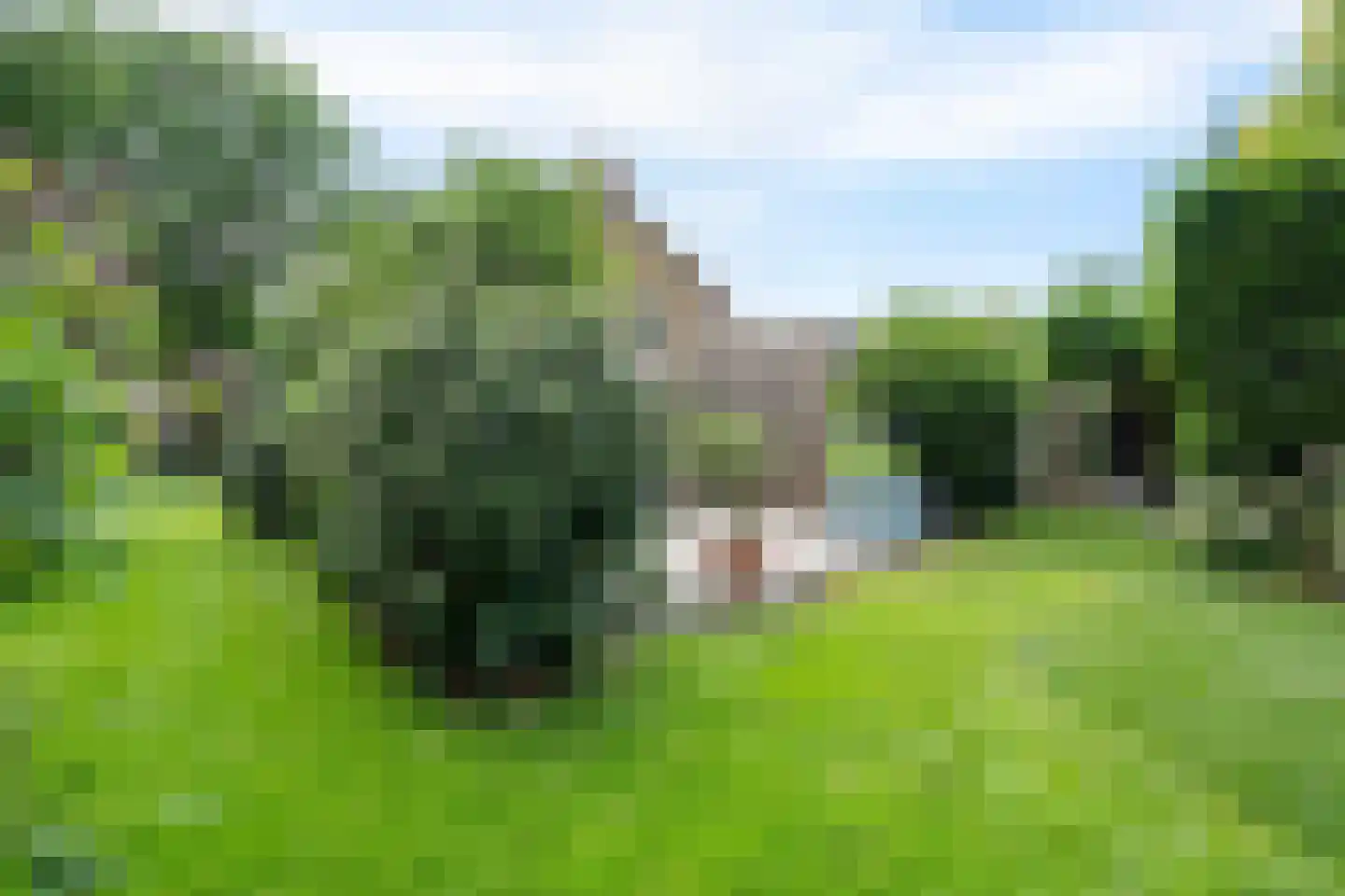 Esweg 9 Dwingeloo thumbnail 36