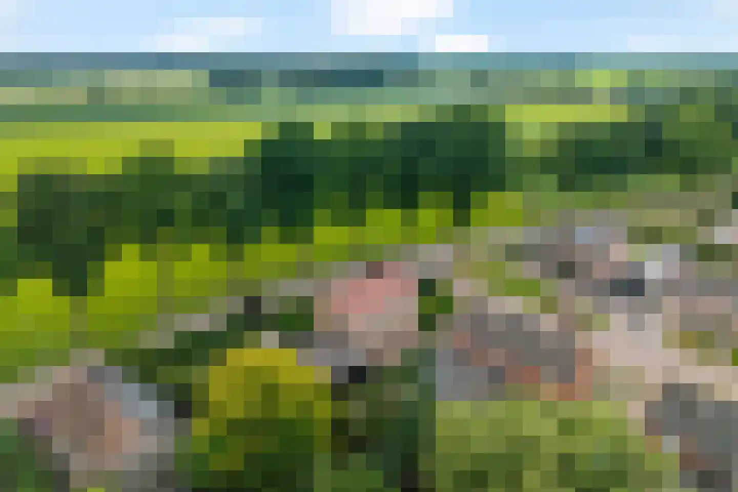 Esweg 9 Dwingeloo thumbnail 38