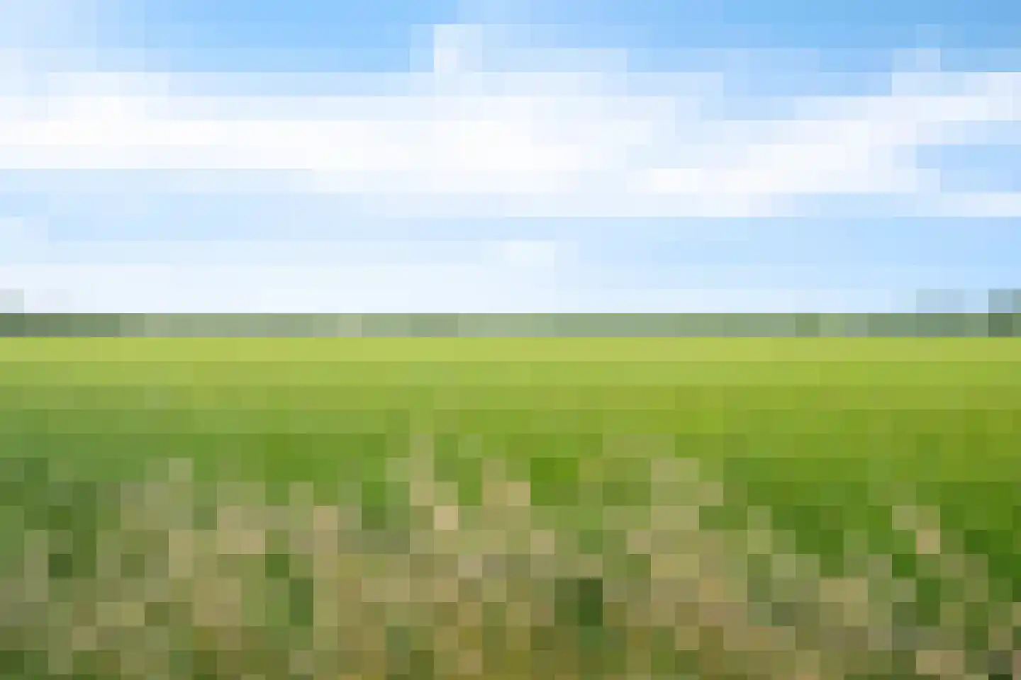 Esweg 9 Dwingeloo thumbnail 42