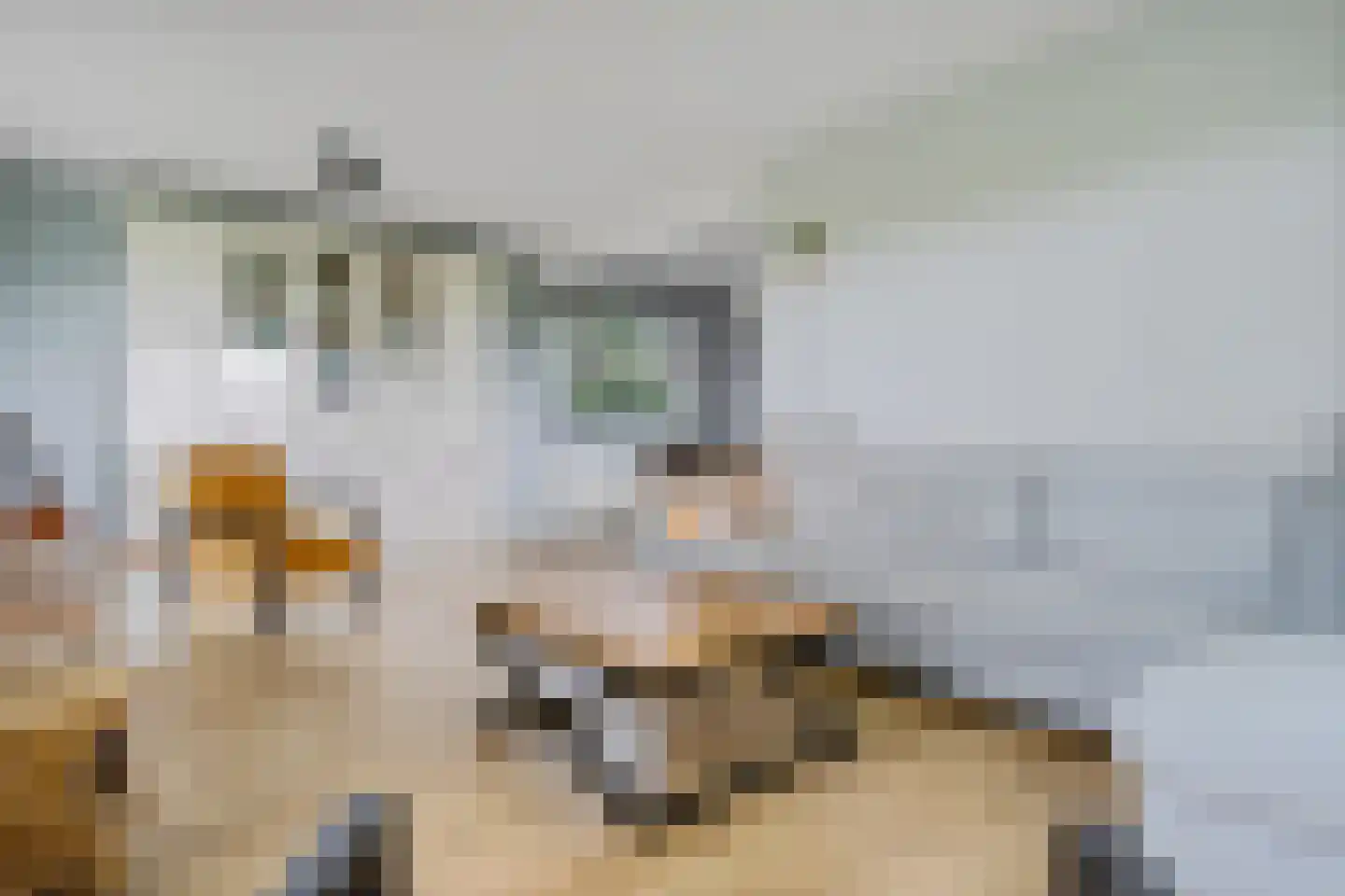Esweg 9 Dwingeloo thumbnail 6
