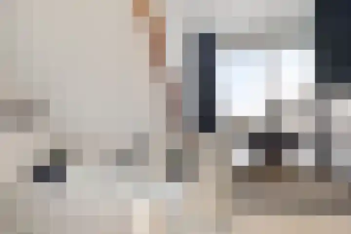 Eteringen 5 Westdorpe thumbnail 18