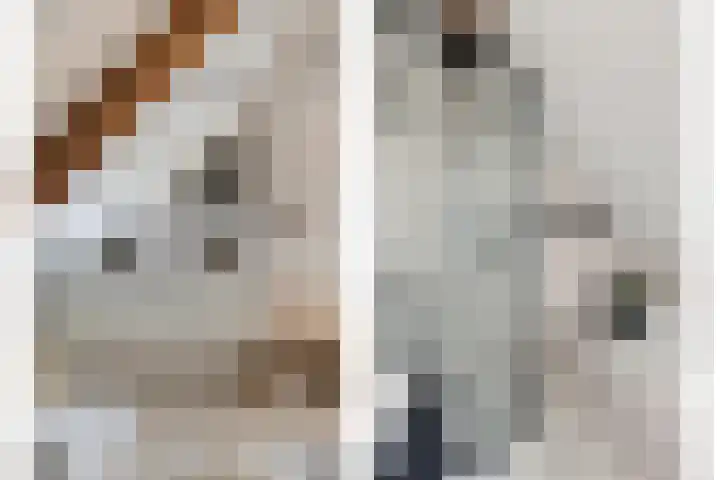 Eteringen 5 Westdorpe thumbnail 19