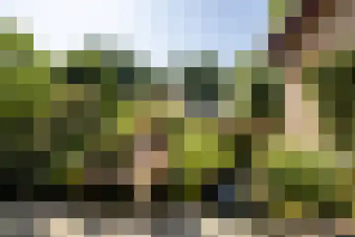 Etersheim 11 Oosthuizen thumbnail 11