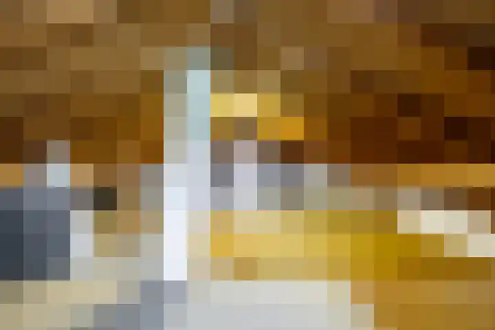 Etersheim 11 Oosthuizen thumbnail 33