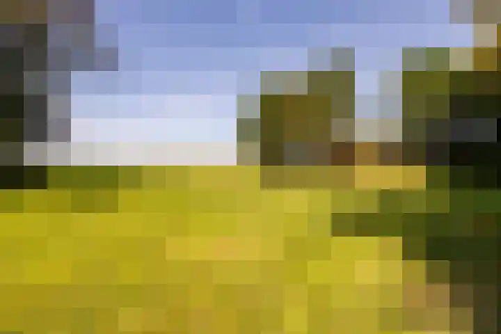 Etersheim 11 Oosthuizen thumbnail 39