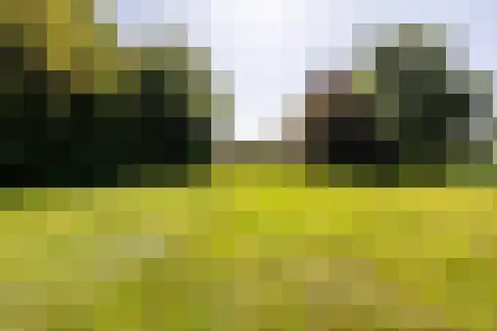 Etersheim 11 Oosthuizen thumbnail 41