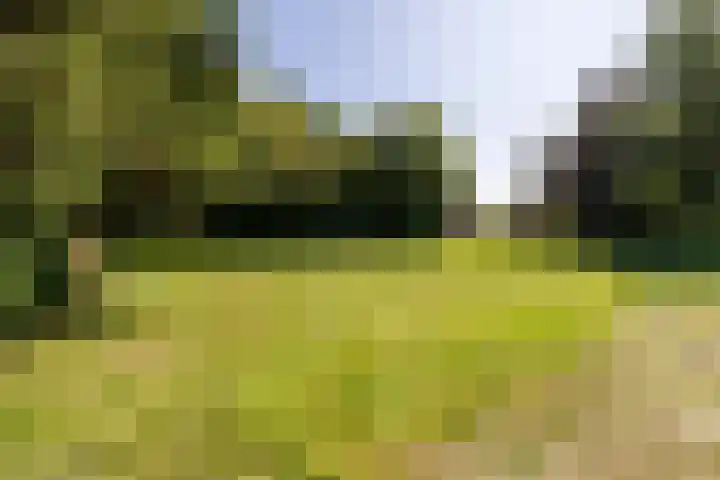 Etersheim 11 Oosthuizen thumbnail 42