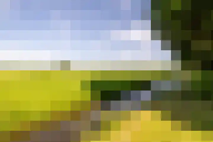 Etersheim 11 Oosthuizen thumbnail 43