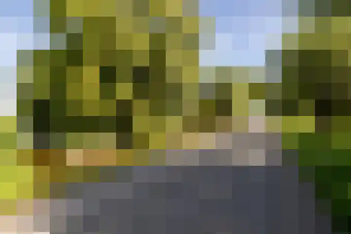 Etersheim 11 Oosthuizen thumbnail 45