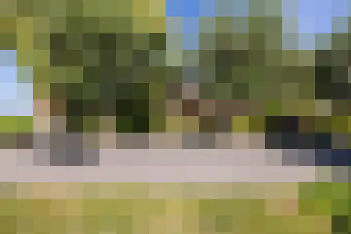 Etersheim 11 Oosthuizen thumbnail 47