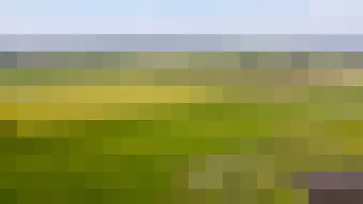 Etersheim 11 Oosthuizen thumbnail 49