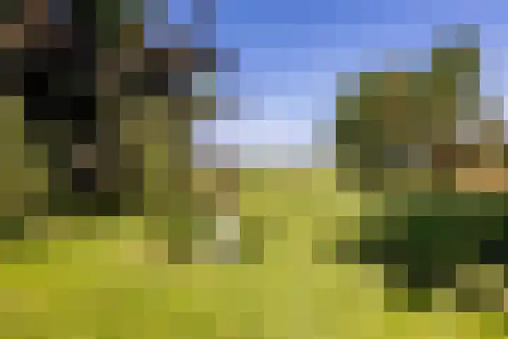 Etersheim 11 Oosthuizen thumbnail 5