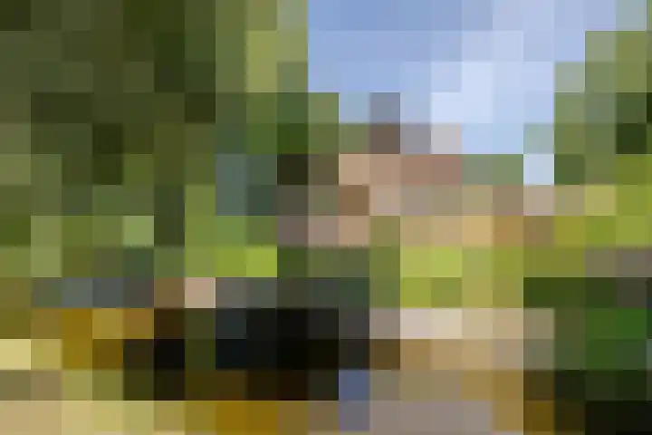 Etersheim 11 Oosthuizen thumbnail 52
