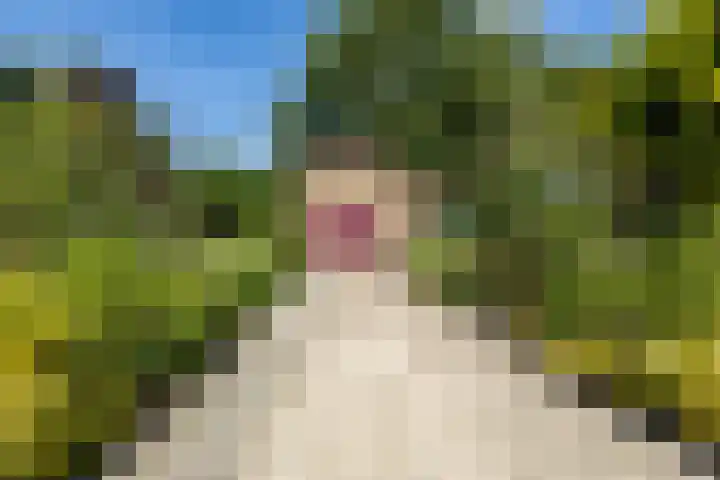 Etersheim 11 Oosthuizen thumbnail 9