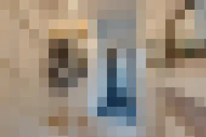 Etserstraat 7 Purmerend thumbnail 10