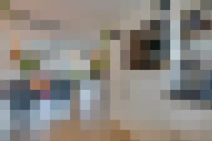 Etserstraat 7 Purmerend thumbnail 25