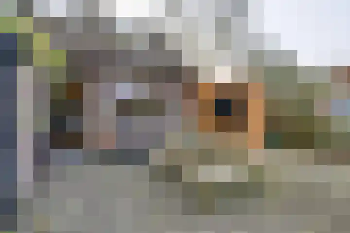 Etserstraat 7 Purmerend thumbnail 28