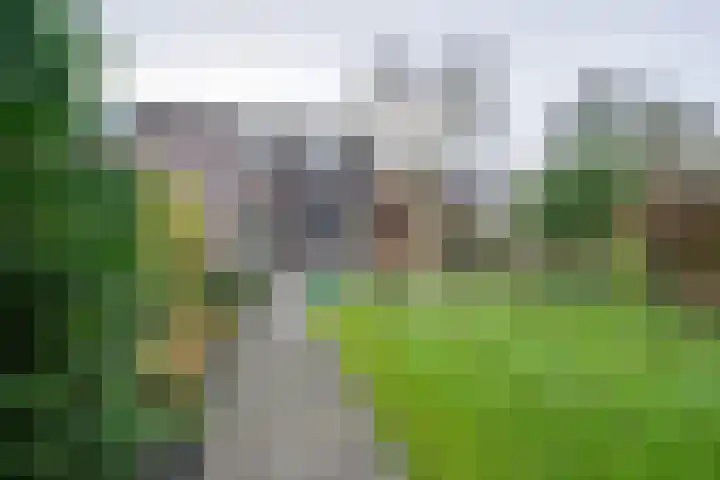 Etserstraat 7 Purmerend thumbnail 33