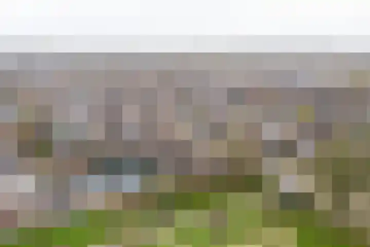 Etserstraat 7 Purmerend thumbnail 8