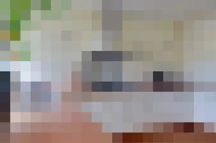 Etstoel 13 Vries thumbnail 18