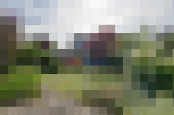 Etstoel 13 Vries thumbnail 37