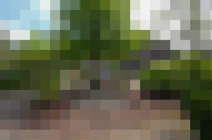Etstoel 13 Vries thumbnail 38