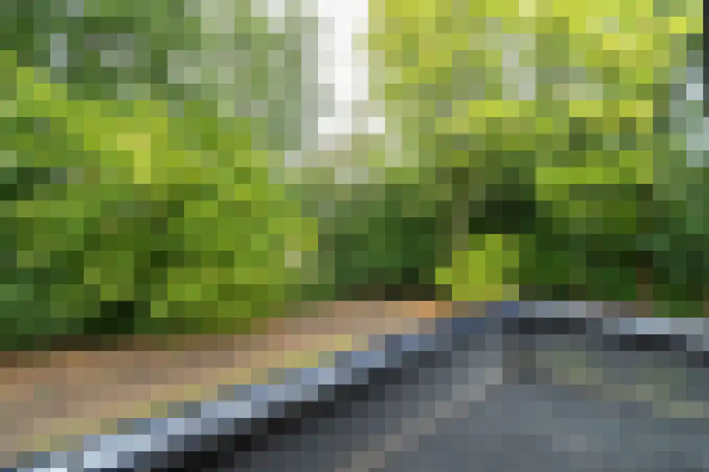 Ettenlaan 5 Rolde thumbnail 30