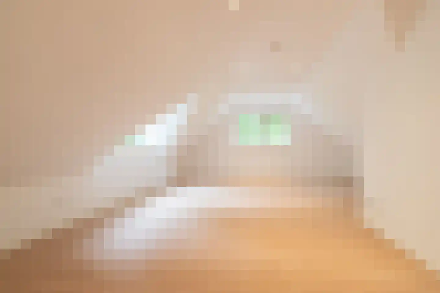 Ettenlaan 5 Rolde thumbnail 33