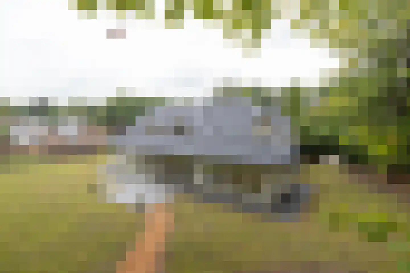 Ettenlaan 5 Rolde thumbnail 54