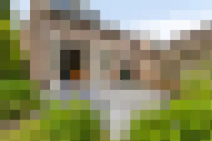 Ettenseweg 93 Ulft thumbnail 32