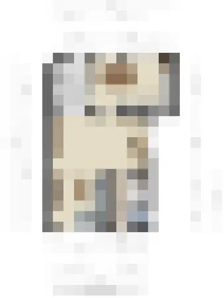 Ettenseweg 93 Ulft thumbnail 37