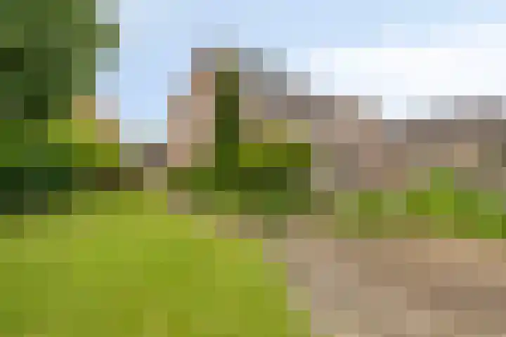 Ettenseweg 93 Ulft thumbnail 6
