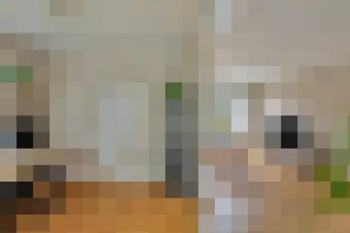 Ettenseweg 93 Ulft thumbnail 9
