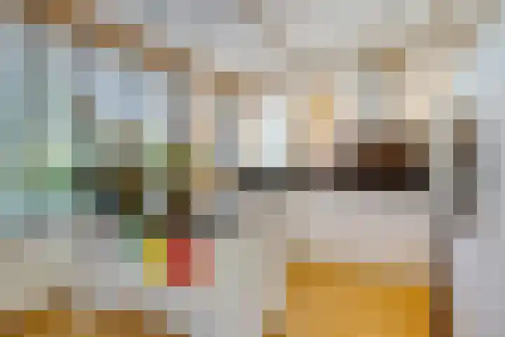 Eufraatstroom 7 Zoetermeer thumbnail 10