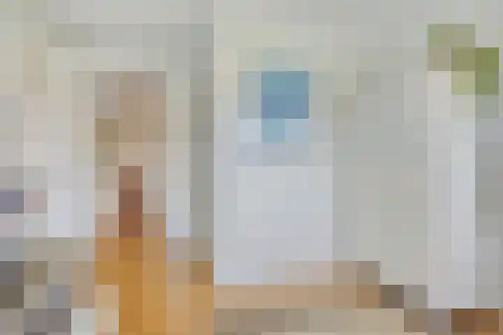 Eufraatstroom 7 Zoetermeer thumbnail 29