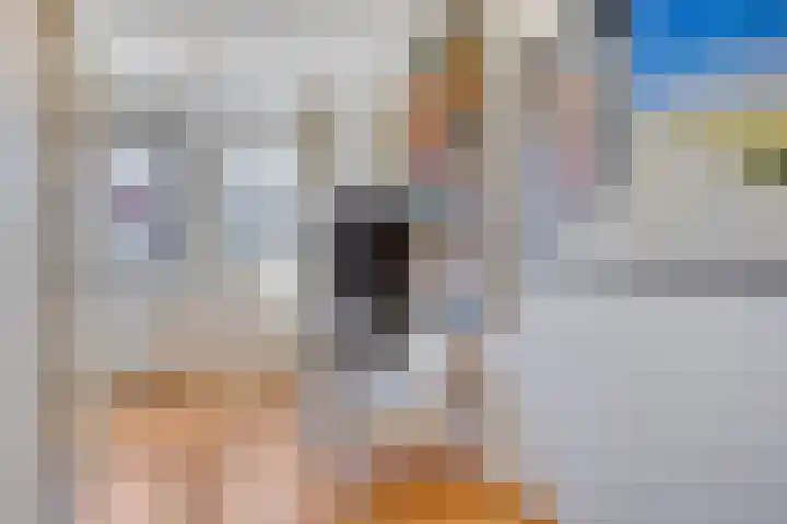 Eufraatstroom 7 Zoetermeer thumbnail 32