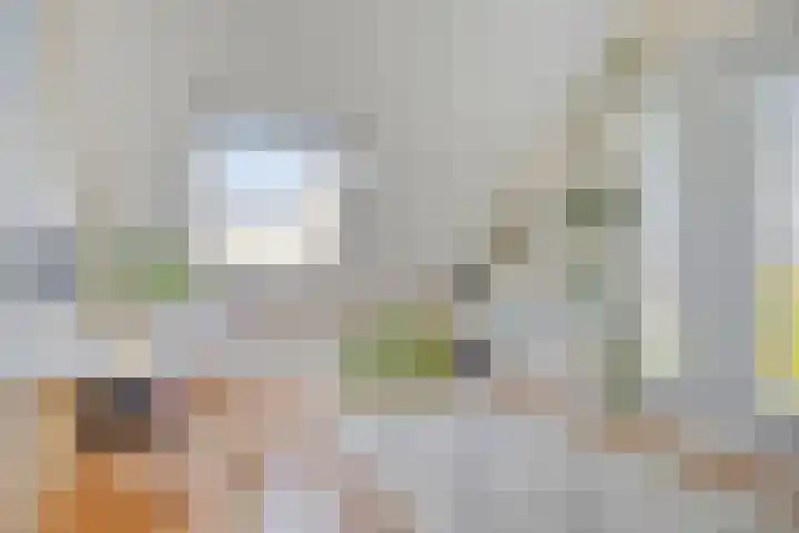 Eufraatstroom 7 Zoetermeer thumbnail 34