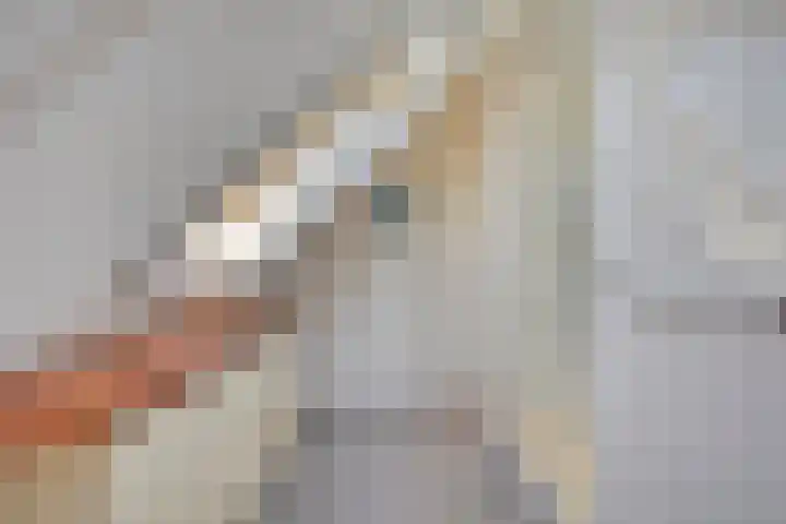 Eufraatstroom 7 Zoetermeer thumbnail 37
