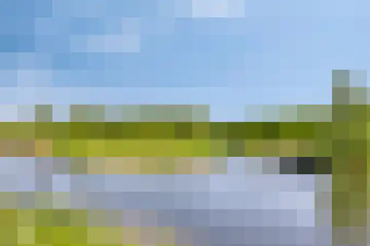 Eufraatstroom 7 Zoetermeer thumbnail 47