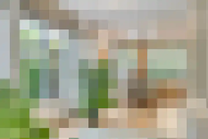 Eufraatstroom 7 Zoetermeer thumbnail 8
