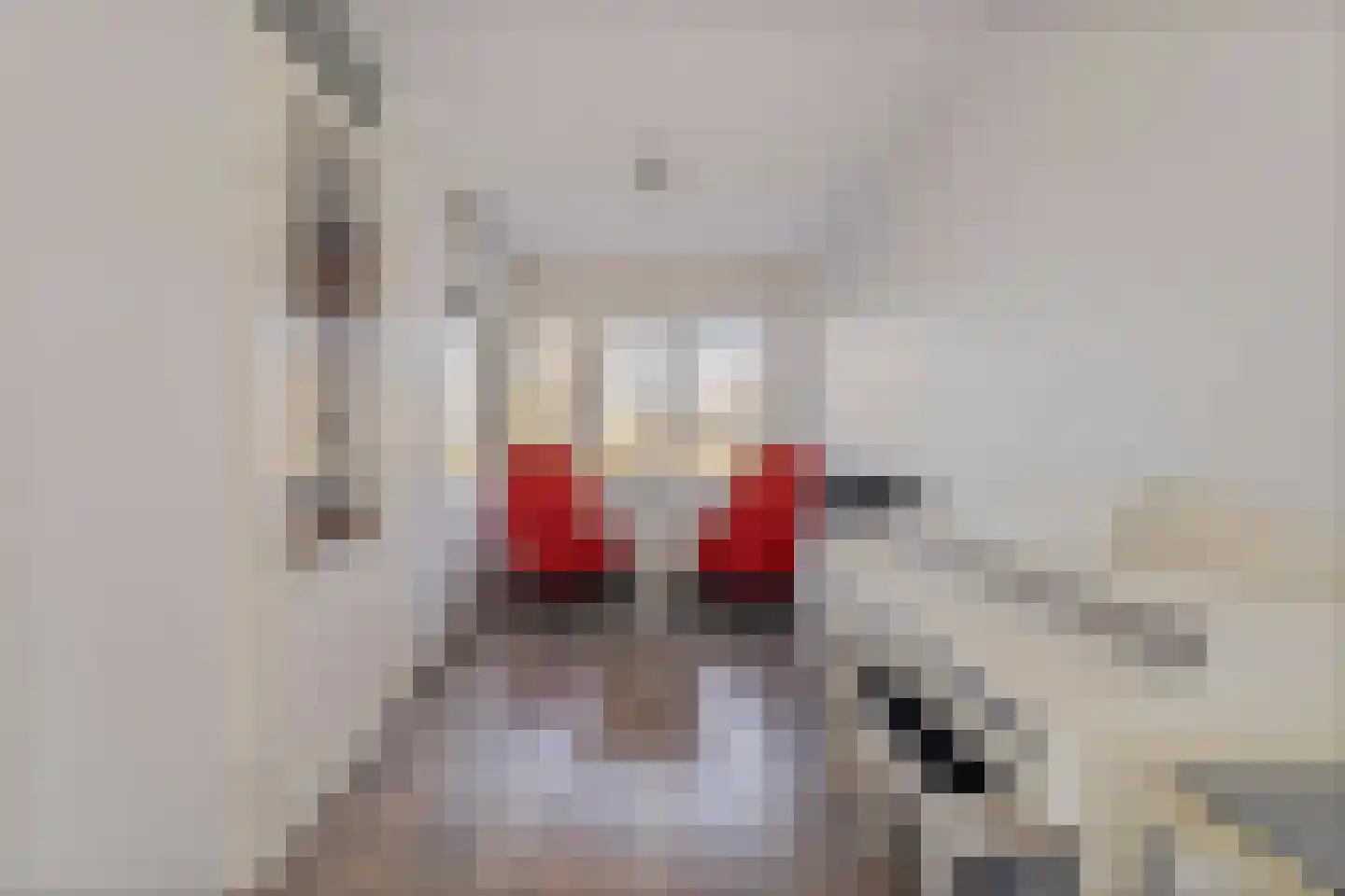 Eurokade 33 Amsterdam thumbnail 8